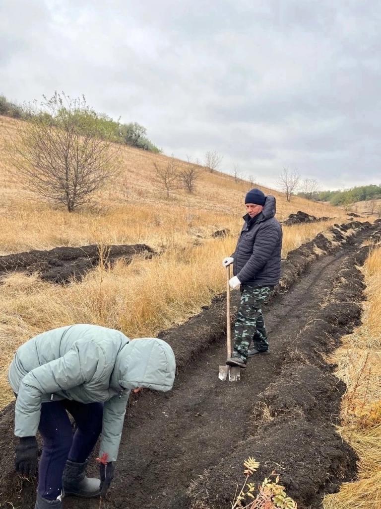 Всероссийская акция «Сохраним лес» прошла в Чернянском районе.